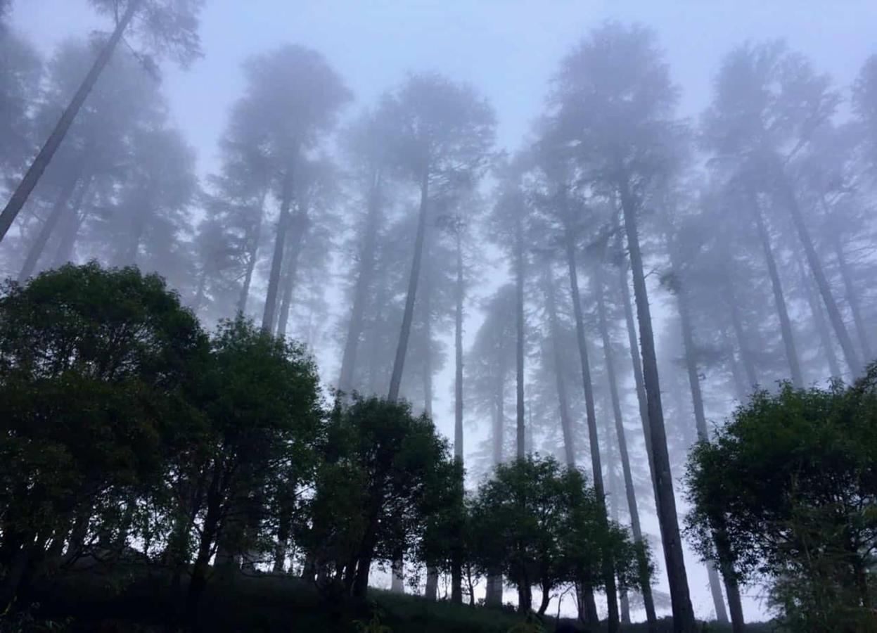 Madhuban Sarovar Portico Mussoorie Kültér fotó